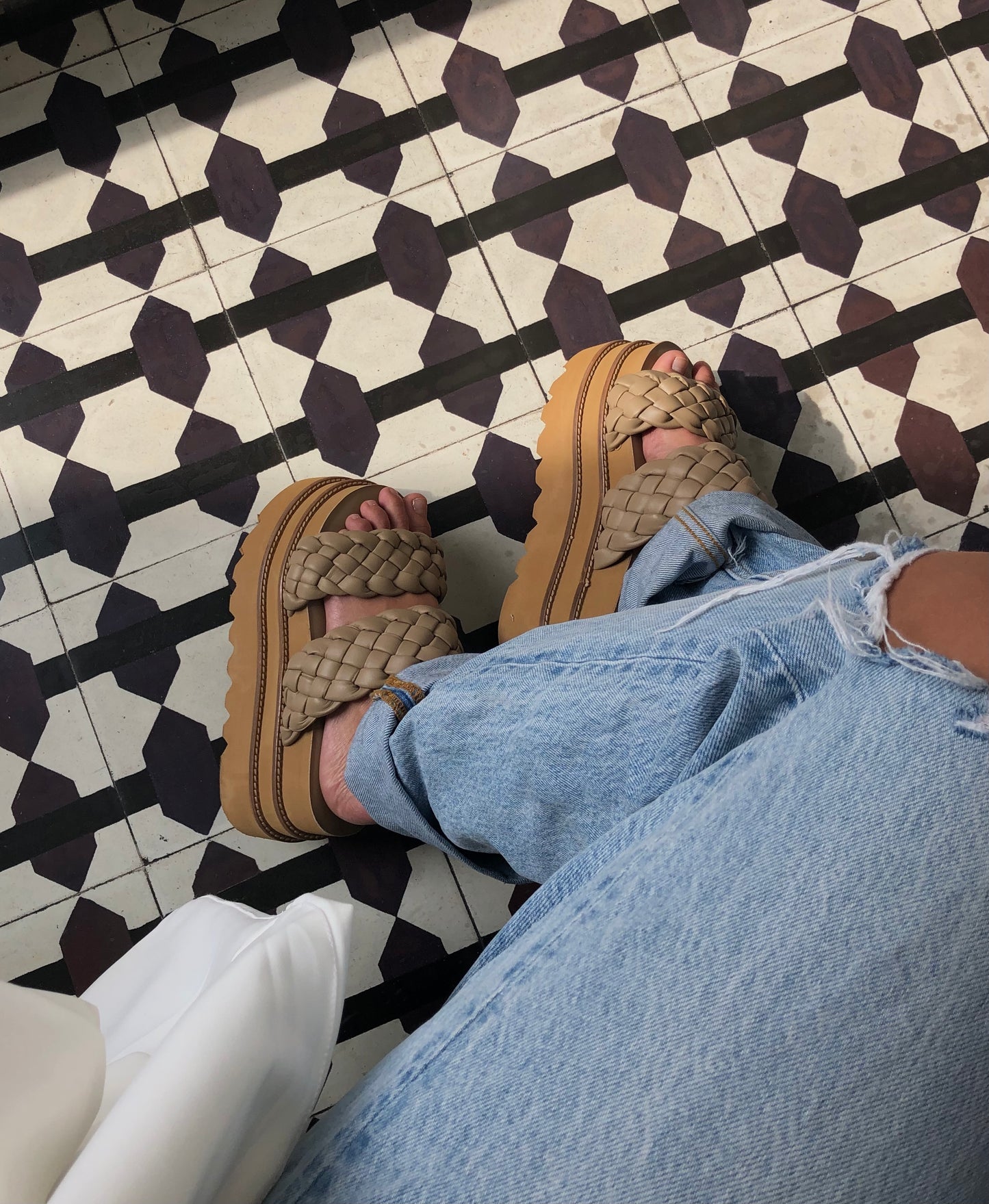 PLATAFORMA OLIVE - CAMEL