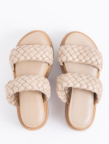 PLATAFORMAS OLIVE - CAMEL