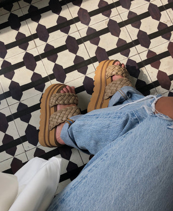 PLATAFORMAS OLIVE - CAMEL